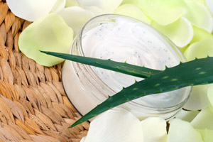 Aloe Vera: Basis für eine gute Pflege in der Natur-Kosmetik.