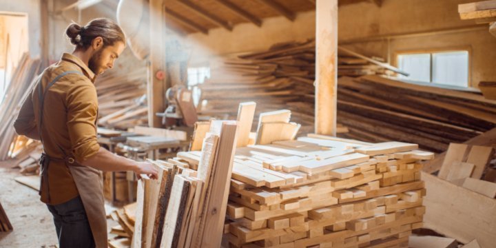 Holz als revolutionärer Baustoff für nachhaltiges Wohnen