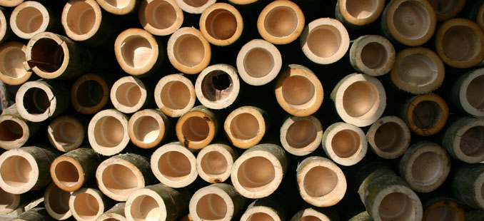 Eine nachhaltige Alternative für Holztüren ist Bambus