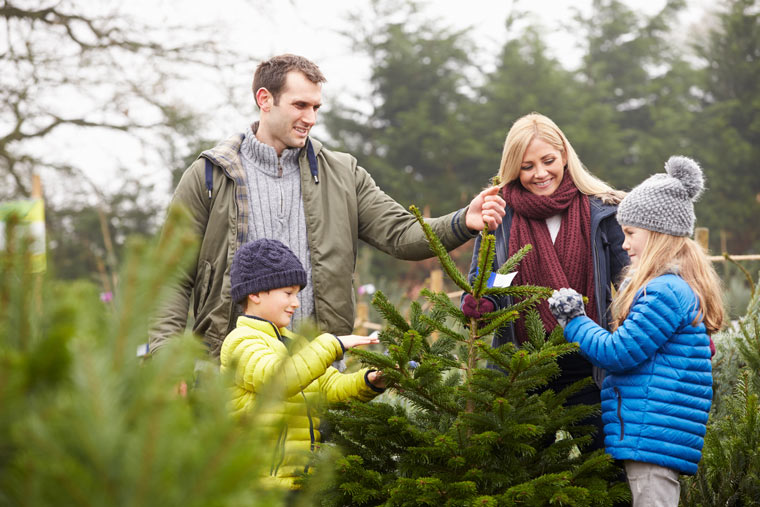 Weihnachten und Gesundheit: warum der Bio-Weihnachtsbaum besser ist