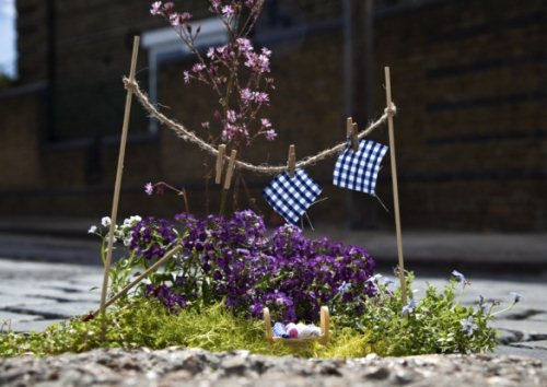 pottholegardener: Schlaglöcher werden nachhaltig bepflanzt und zu Kunstwerken.