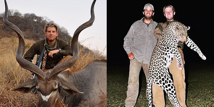 Donald Trump: »Tiere jagen, ist wie Golf spielen«