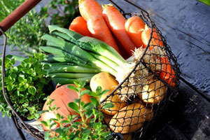 Frische Lebensmittel der Saison und aus der Region sind am ehesten gesund und nachhaltig.