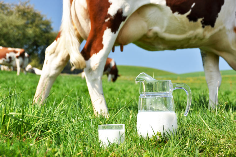 8 Gründe warum du Milch meiden solltest