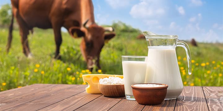 Die Vorteile von Milchprodukten aus Weidehaltung