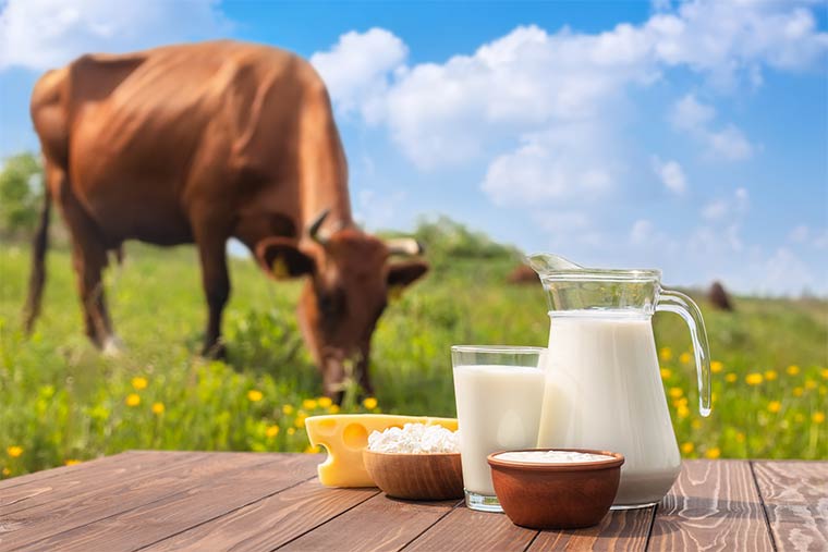 Milchprodukte aus Weidehaltung