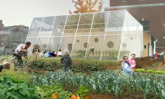 Sinnvoll und lehrreich: Essbarer Schulgarten für Stadtkinder