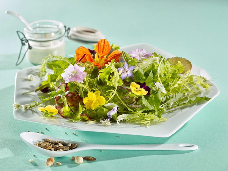 Knackiger Sommersalat mit Wildkräutern und einer Molkevinaigrette