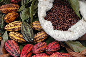 Mehr als die Hälfte der Schokoladebohnen kommen aus Westafrika.