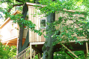 Wipfelglück-Baumhäuser sind Mitten in der Natur gelegen.