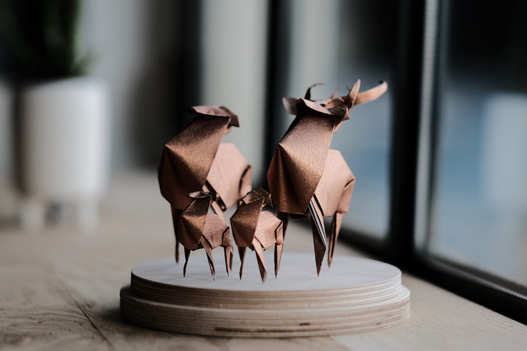 Florigami - Origami, die Kunst des Papierfaltens