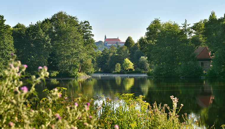 Wassergarten in Fulda
