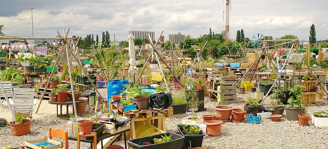 Hafengarten: Urban Gardening in Offenbach