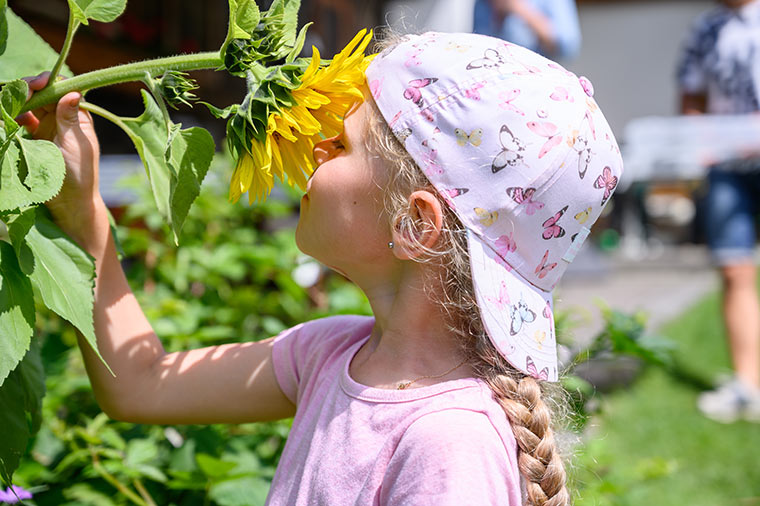 Mädchen riecht an Sonnenblume