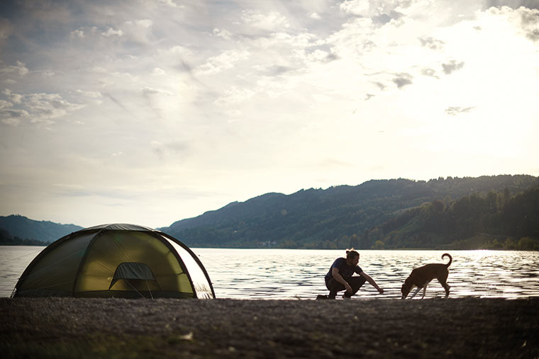 Mann und Hund mit Zelt