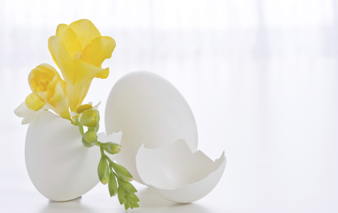 Ostern basteln Vasen aus Ei