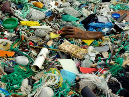 Gefahr für Umwelt und Mensch: Wanderausstellung Plastikmüll in den Meeren in Hamburg