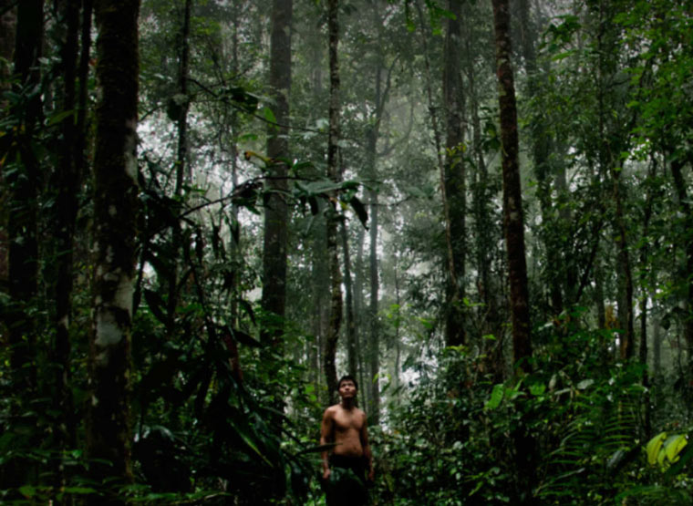 The Borneo Case Dokumentarfilm