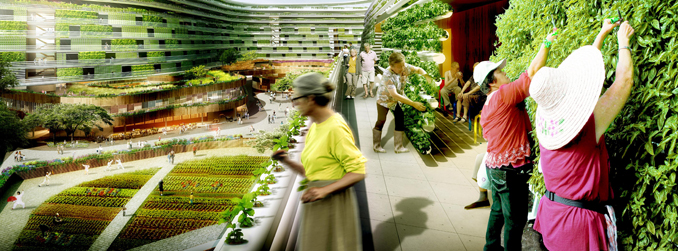 Architekt Urban Gardening
