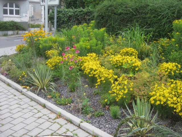 Urban Gardening, nachhaltiges Konzept macht Andernach zur essbaren Stadt