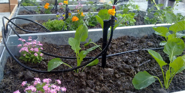 Schrebergarten 2.0: Urban Gardening mit Urban Farm Unit