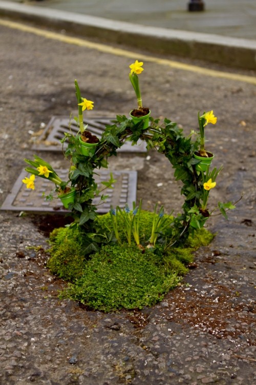 potholegardener: Schlaglöcher werden nachhaltig bepflanzt und zu Kunstwerken.