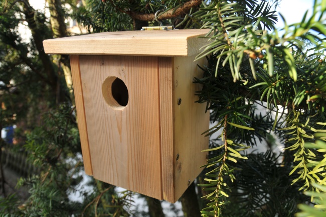 Vogelhaus basteln oder Nistkasten selber bauen: Eine einfache Anleitung mit Bildern