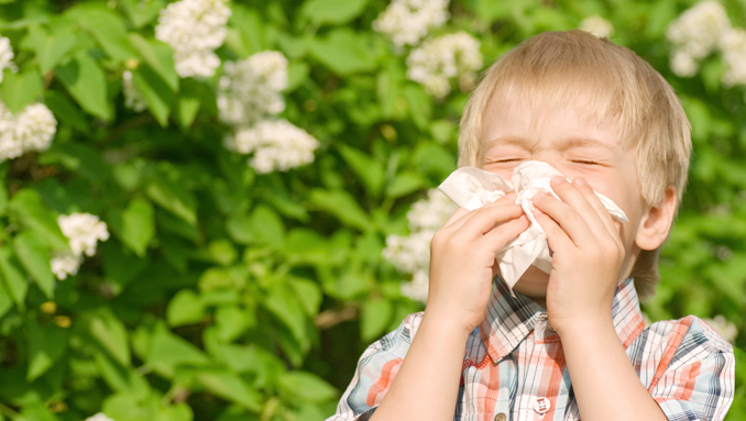 Detoxing gegen Alergien
