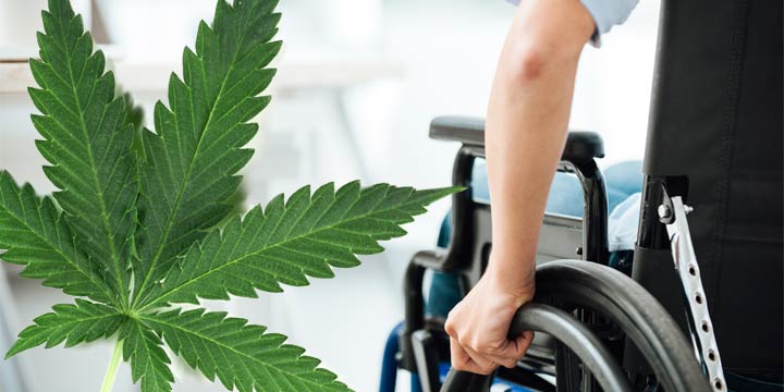 Hilft Cannabis als Medikament bei MS und Parkinson?