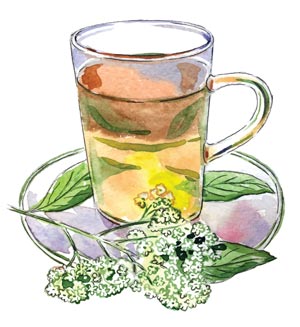 Holunderblüten Tee