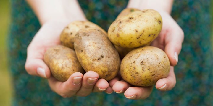 8 Lifehacks mit Kartoffeln - ein altbewährtes Hausmittel