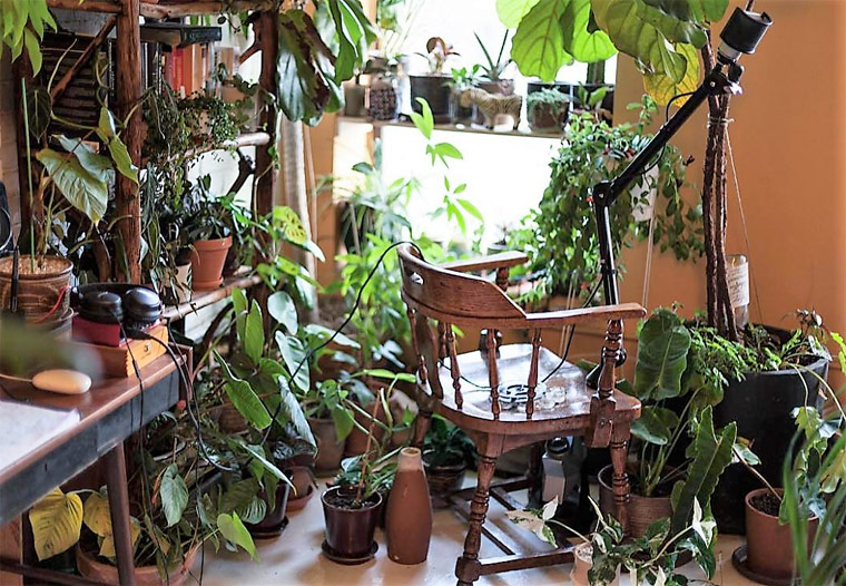 Indoor Jungle: Mach' deine Wohnung zum Dschungel!