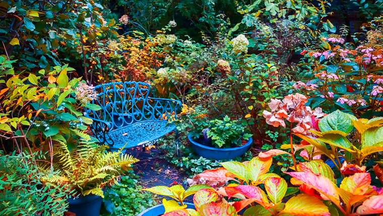 So schön können Sie Ihren Garten im Herbst gestalten