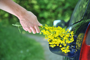Autos auf CNG, LPG oder Pflanzenöl umrüsten ist umweltfreundlich.