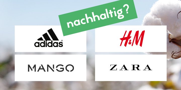 Wie nachhaltig sind H&M, Mango, Zara und Adidas wirklich?