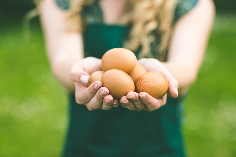 Bio-Eier zu Ostern