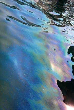 Ölpest „Exxon Valdez“ vom 24. März 1989