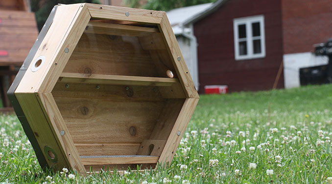 Ein Bienenstock für Drinnen und Draußen
