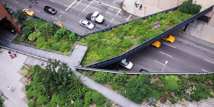 High Line Park - Eine grüne Oase in New York City