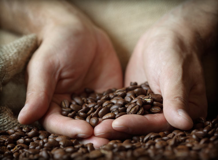 Nachhaltiger Kaffeeanbau