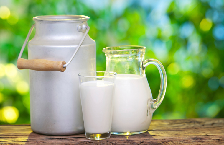 Die Anzahl der Milcherzeuger ist um fast achtzig Prozent zurückgegangen und die Milchpreise pro Liter waren in den vergangenen Jahren alles andere als stabil