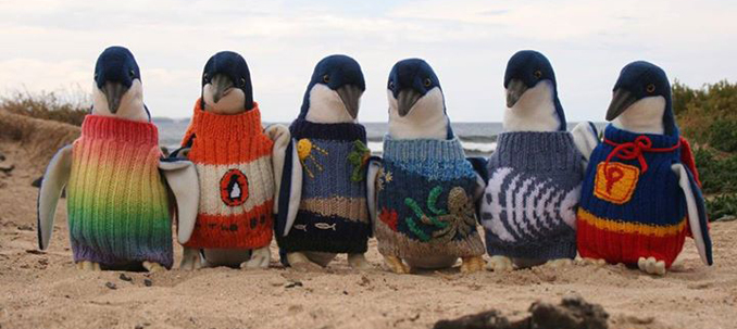 Pinguine Pullis wegen Ölpest