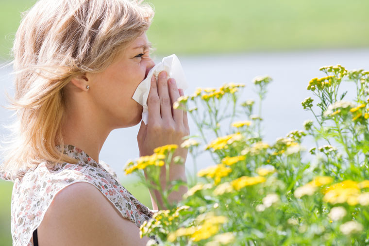 Pollenallergie: Atembeschwerden, tränende Augen und Schnupfen