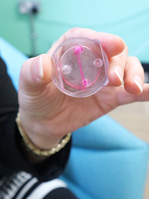 Tierversuchsfrei durch Mini-Organ auf einem Chip