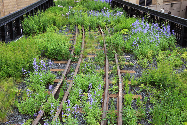 High Line - Eine grüne Oase in New York City