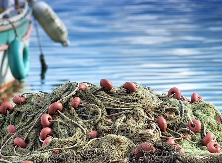 Die Ostsee-Fischerei soll nachhaltiger werden.