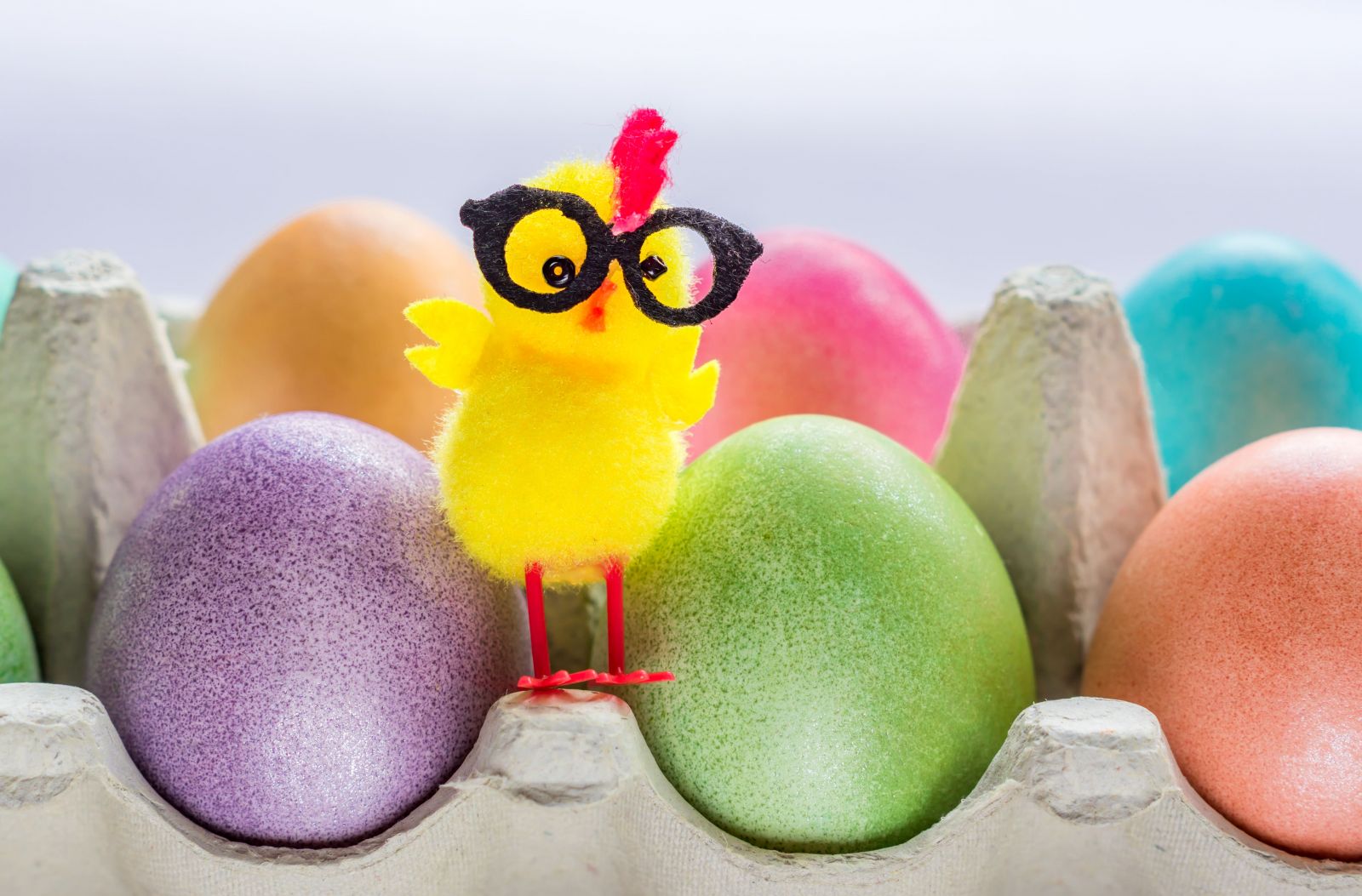 Upcycling: Hasen Eierbecher zu Ostern basteln
