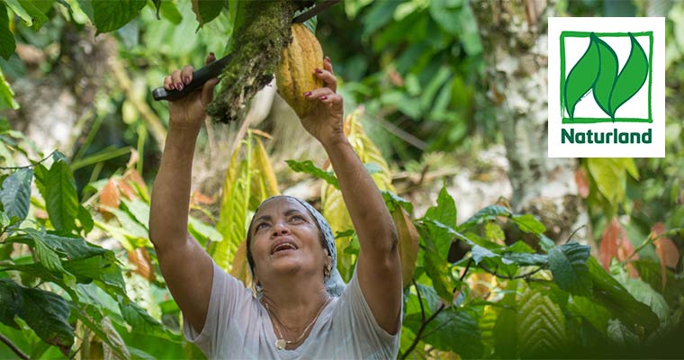 Juana Maria Vicente Garcea – Eine Frau, viele Früchte und noch mehr Klimaschutz